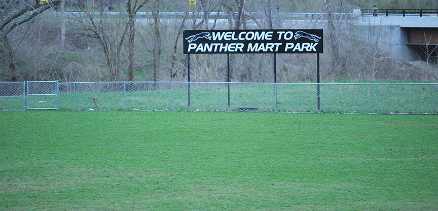 4-1 tv baseball field main.jpg